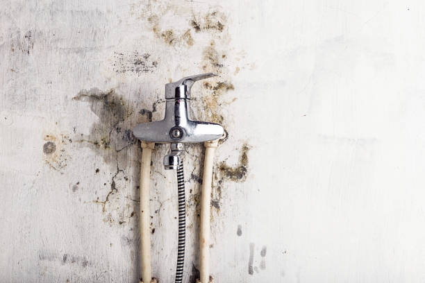 Best Industrial Mold Remediation in Georgetown, DE