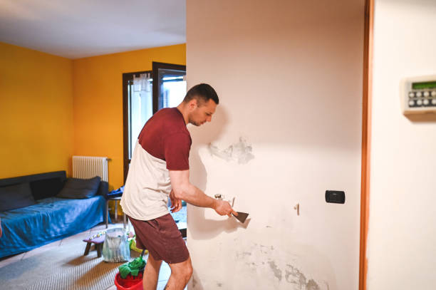 Best Basement Mold Remediation in Georgetown, DE