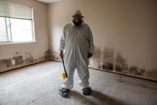 Best HVAC Mold Remediation in Georgetown, DE